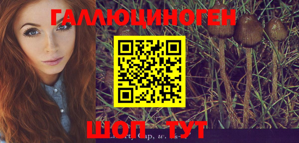 Галлюциногенные грибы Psilocybe  Псилоцибиновые грибы мухоморы  Вход с VPN  Борисоглебск 
