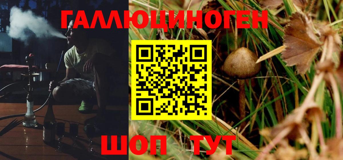 Галлюциногенные грибы GOLDEN TEACHER Борисоглебск